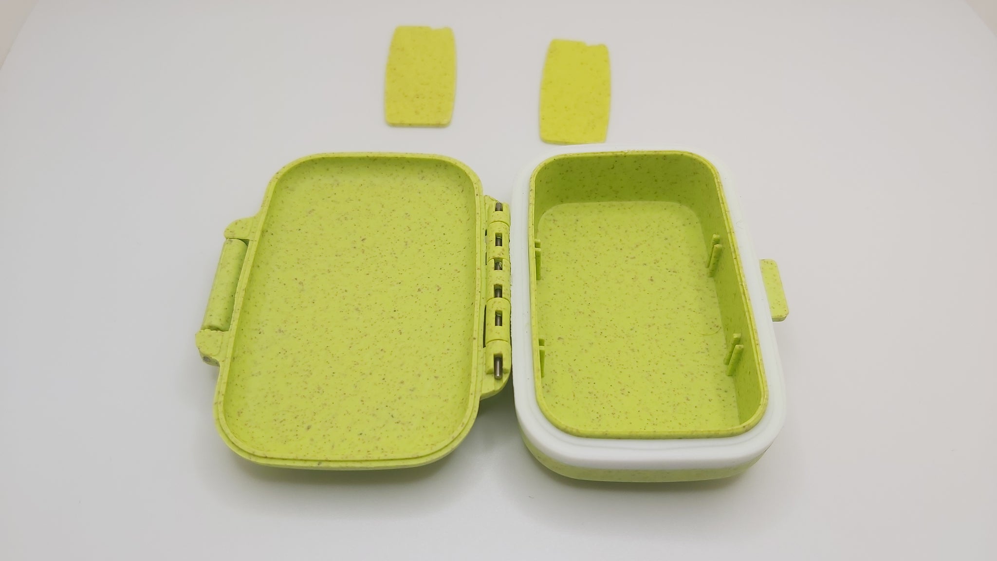 Earplug, Hearing Aid and Earbud Case