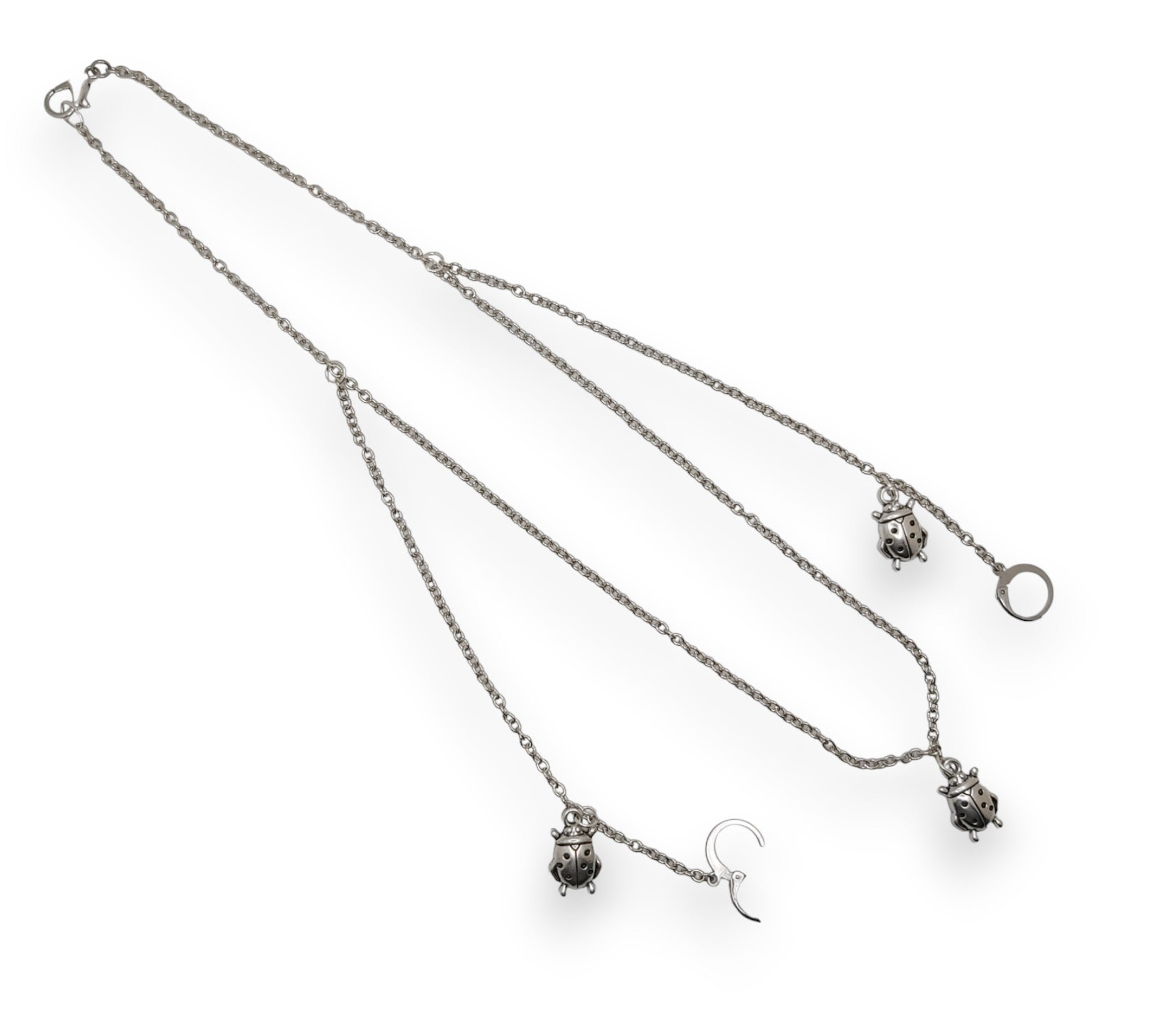 Silver Ladybug