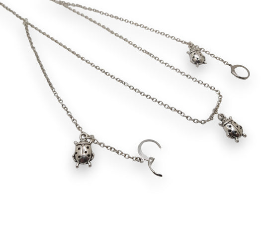 Silver Ladybug