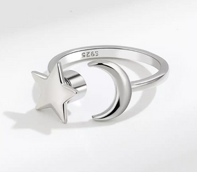 Moon and Star  (Gold/Silver)